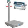 CAS Transit Series Portable Platform Scales