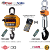 Caston III Plus BlueTooth Digital Crane Scales