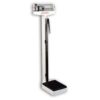 Detecto 339 Metric Medical Scale
