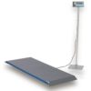 PS1000 Floor Scales