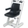 Detecto 6875 Chair Scale