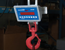 CS1500 Medium Capacity Crane Scales