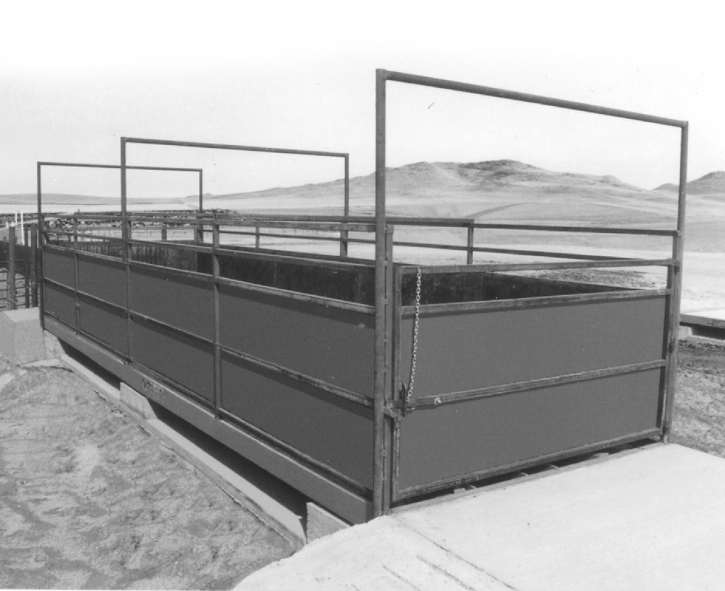 LSE Electronic Livestock Scales Prime USA Scales