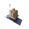 Low Profile Platform Scale