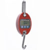 Medium Duty Crane Scale