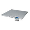 Pegasus Floor Scale Systems