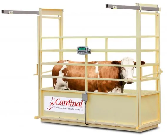 SLS Single Animal Livestock Scales