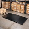 VERTEX Floor Scale MS
