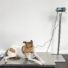 OP-922 Vet Scale with Optional Cage
