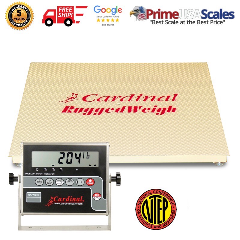 Detecto RW-500 Run-A-Weigh Portable Floor Scale-500 lb Capacity