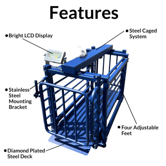 US-BC7120 "Big Blue" Livestock Scale - Image 2