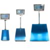 US-EW "Eweigh" Bench Scale NTEP (Legal for trade)