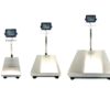 US-WM-SS "Weigh Master" Stainless Steel Bench Scale (Wash Down)