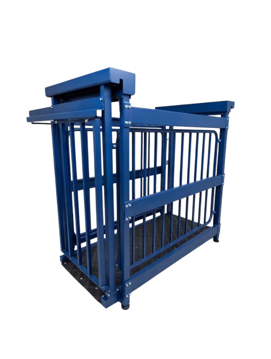 US-BC8548HD "Big Blue" Cattle Scale - Image 9