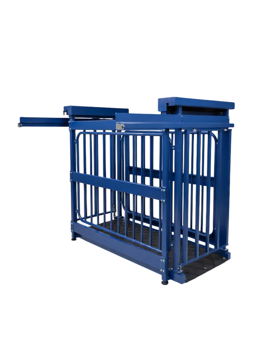 US-BC8548HD "Big Blue" Cattle Scale - Image 8