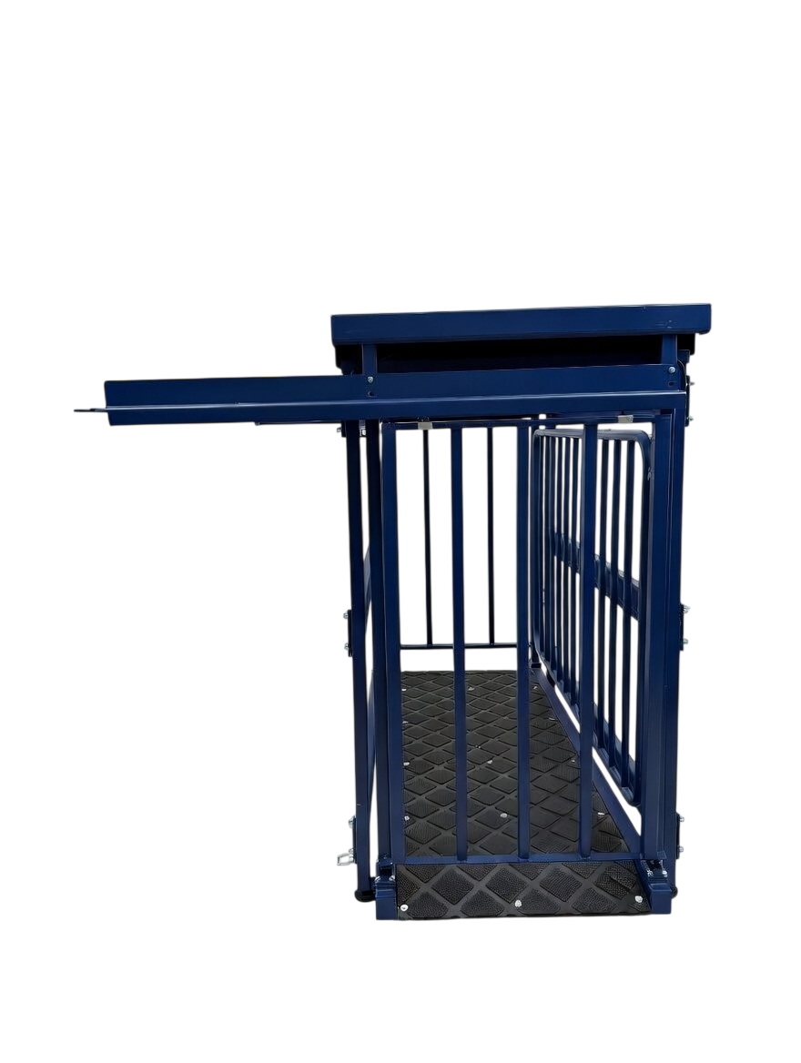 US-BC8548HD "Big Blue" Cattle Scale - Image 7