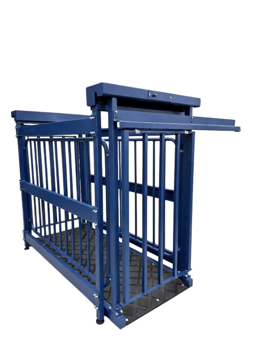 US-BC8548HD "Big Blue" Cattle Scale - Image 6