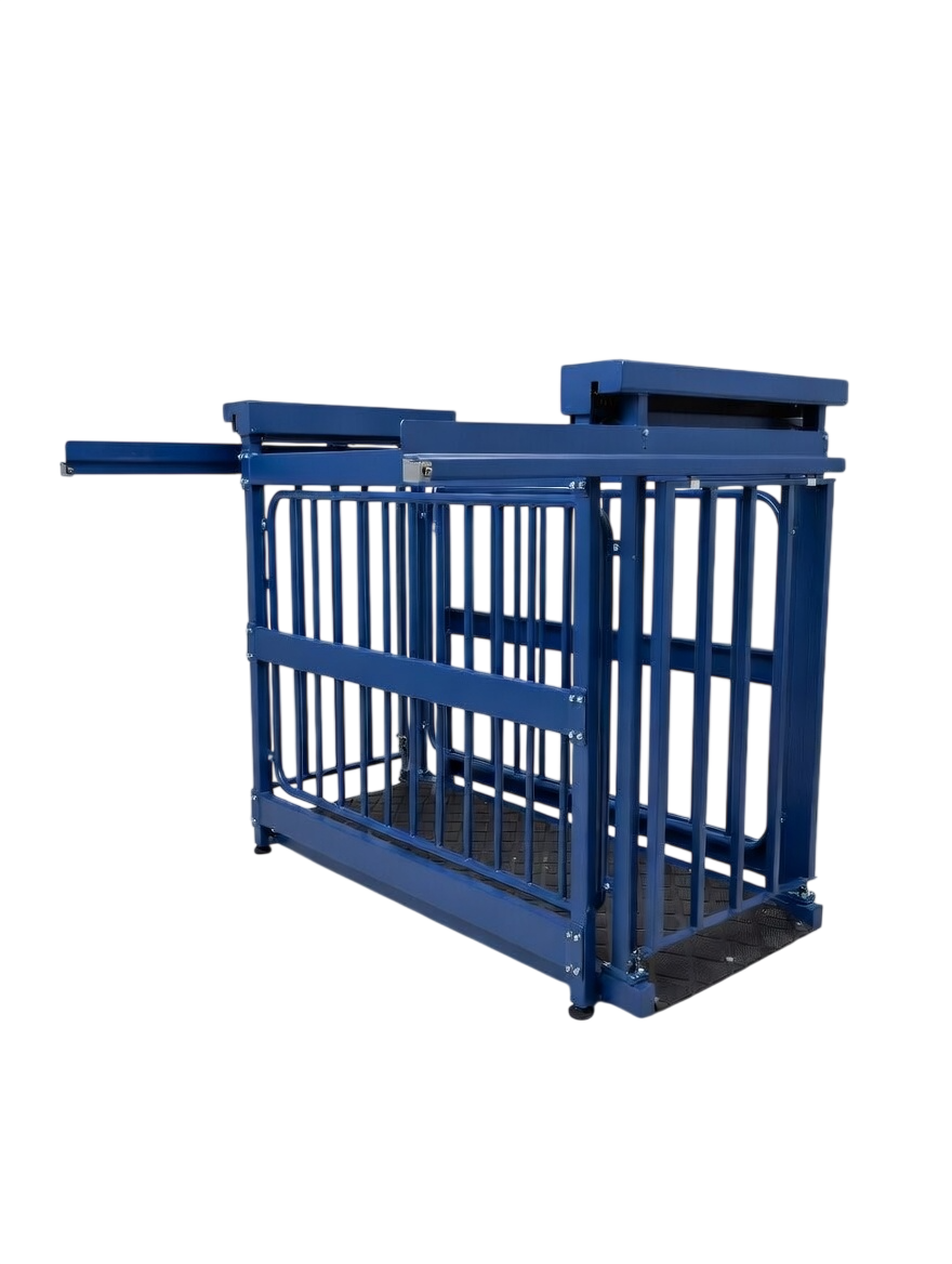 US-BC8548HD "Big Blue" Cattle Scale - Image 5