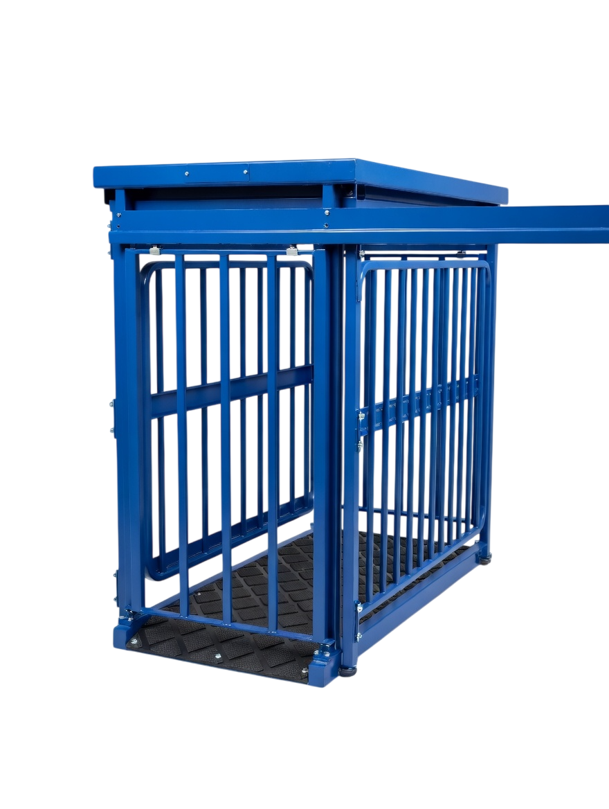 US-BC8548HD "Big Blue" Cattle Scale - Image 4