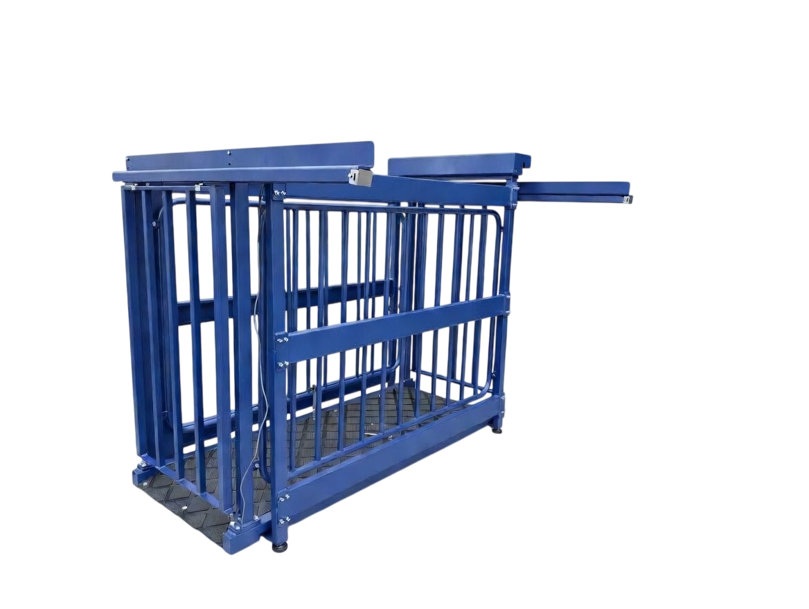 US-BC8548HD "Big Blue" Cattle Scale - Image 3