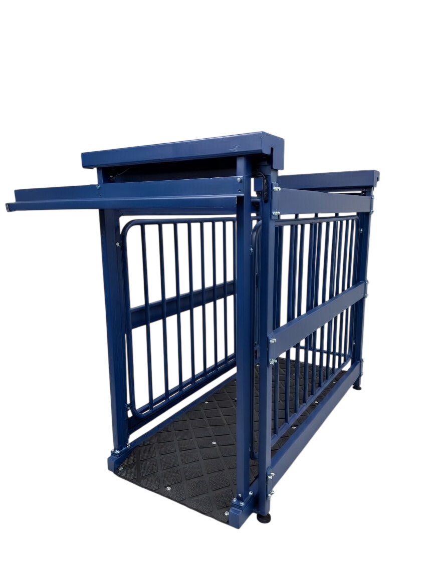 US-BC8548HD "Big Blue" Cattle Scale - Image 2