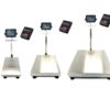 US-WM "Weigh Master" Bench Scale with US-PTPII Printer