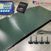 Etek Floor Scale with Ramps & Printer