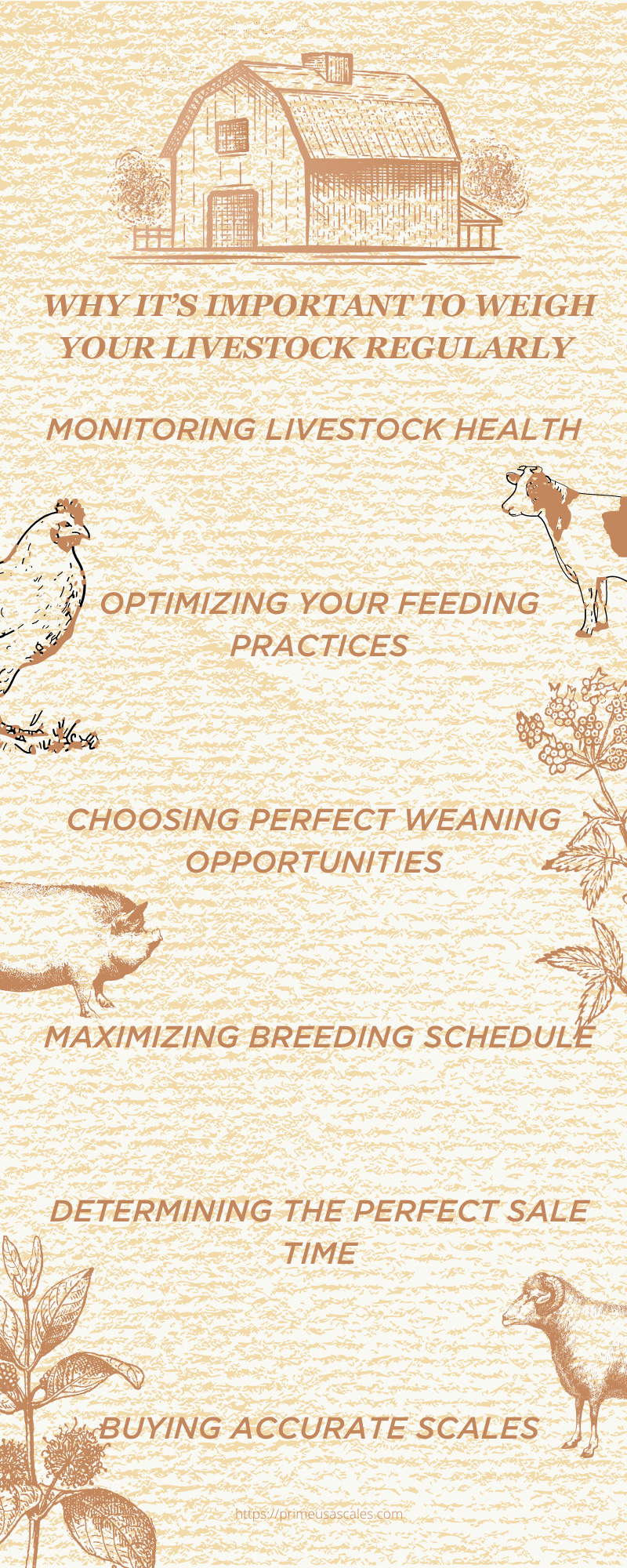 Why It’s Important To Weigh Your Livestock Regularly Infographic