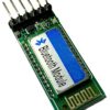 RAVAS-IBT Bluetooth output for Indicator