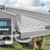 AWB-5K-SYS Livestock Scale Weigh Bars & Platform Scale