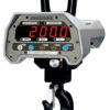 Caston II Digital Crane Scales with Remote