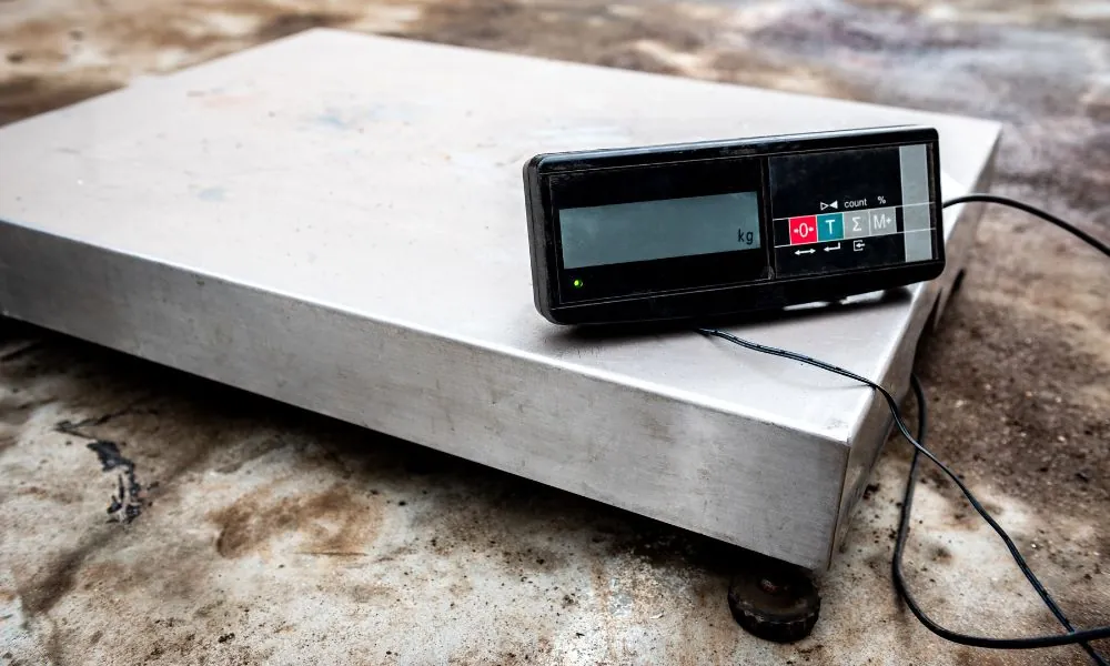 What Happens to a Scale Loaded Over Its Maximum Weight?