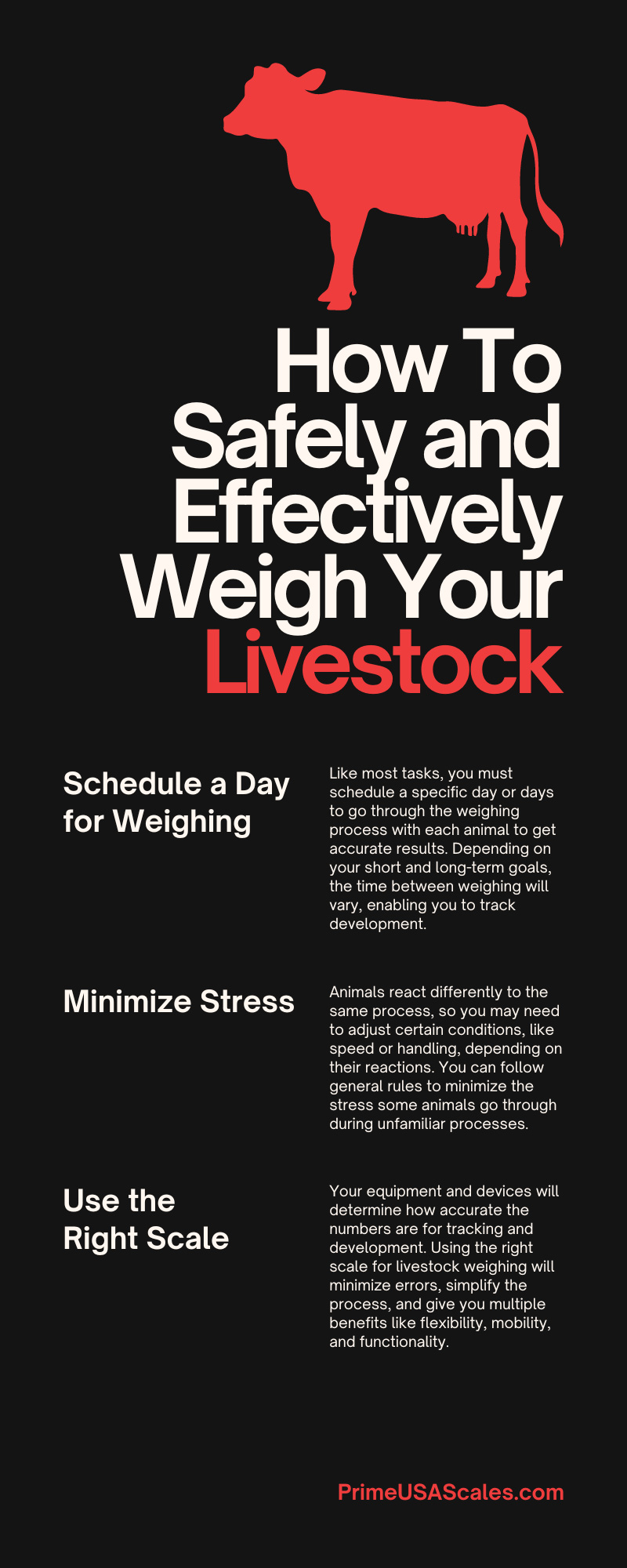 How To Safely and Effectively Weigh Your Livestock