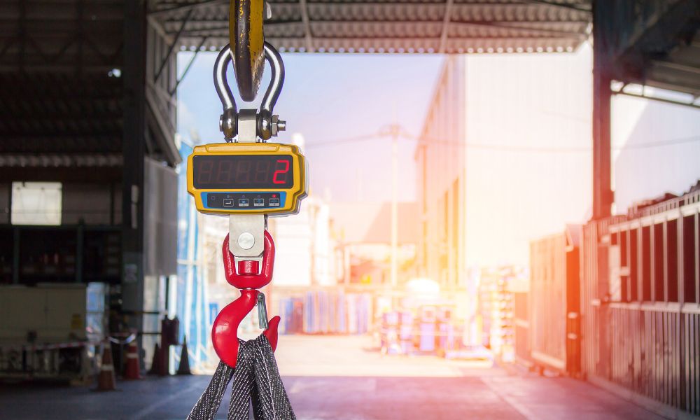 How To Choose the Right Crane Scale for Your Needs