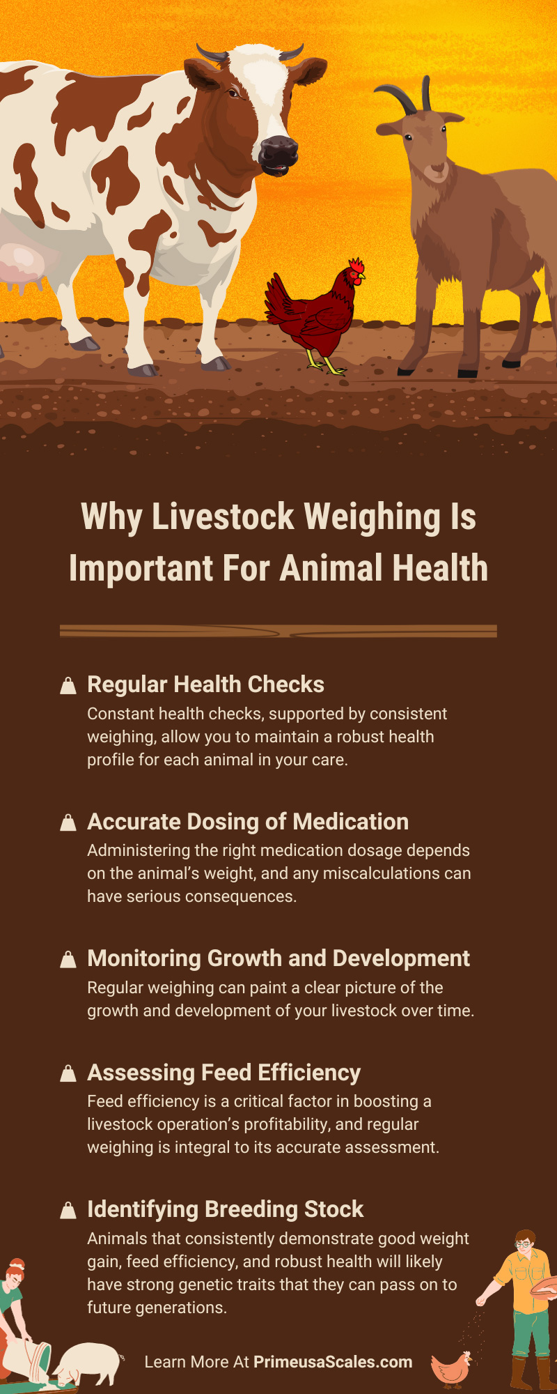 Why Livestock Weighing Is Important for Animal Health