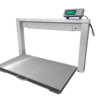 LVS-S 700 Stowaway Livestock Vet Scale wall-mounted 38 x 20 platform deployed