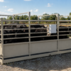 USA Measurements 8x20 Livestock Trailer Scale - loaded with black cattle in field with barn