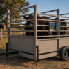 USA Measurements 8x10 Livestock Trailer Scale - cattle loaded at the ranch