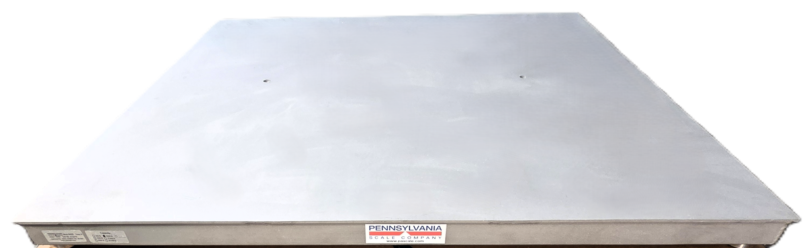 Pennsylvania Scale SS6600 stainless steel washdown floor scale IP68