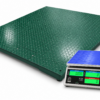 Dual Counting Floor Scale System